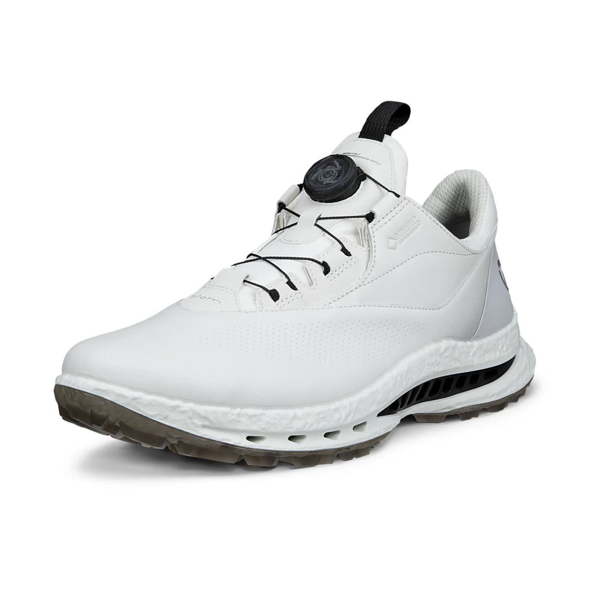 Ecco BIOM C5 Boa GTX - White